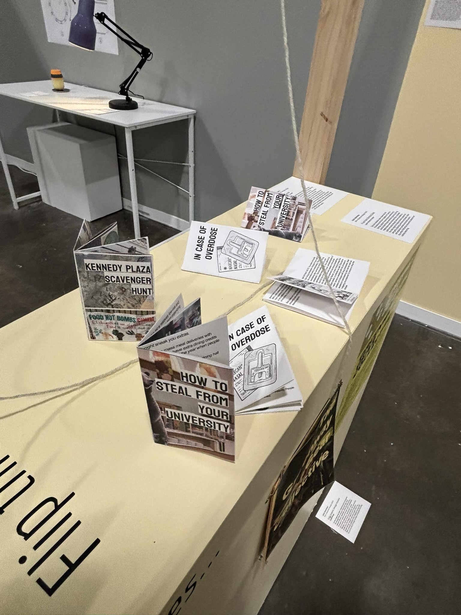 Food Not Bombs zines